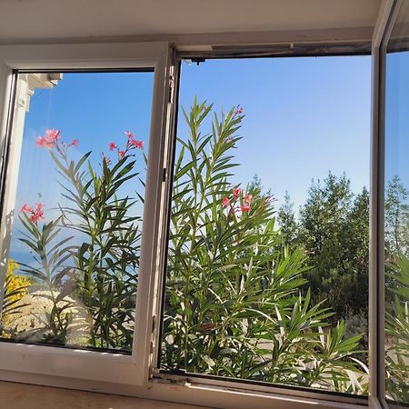 Apartments Chiara Mit Meerblick Und Pool Und Jacuzzi Ловран Экстерьер фото